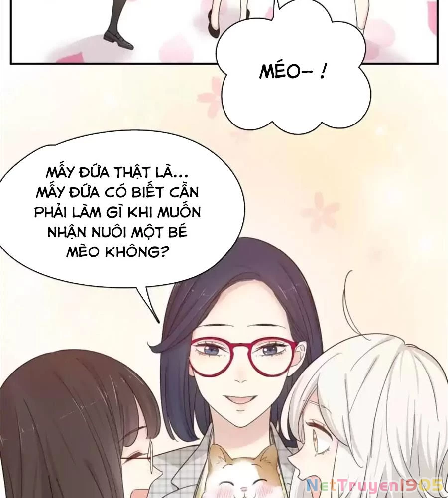 Giờ nay cô ấy cũng rất dễ thương Chapter 61 - 70