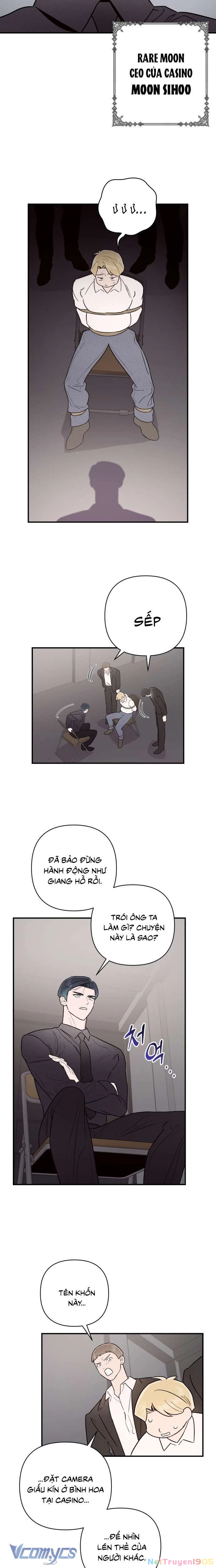 Tối Nay Tôi Là Người Được Cô Ấy Chọn Chapter 11 - 15