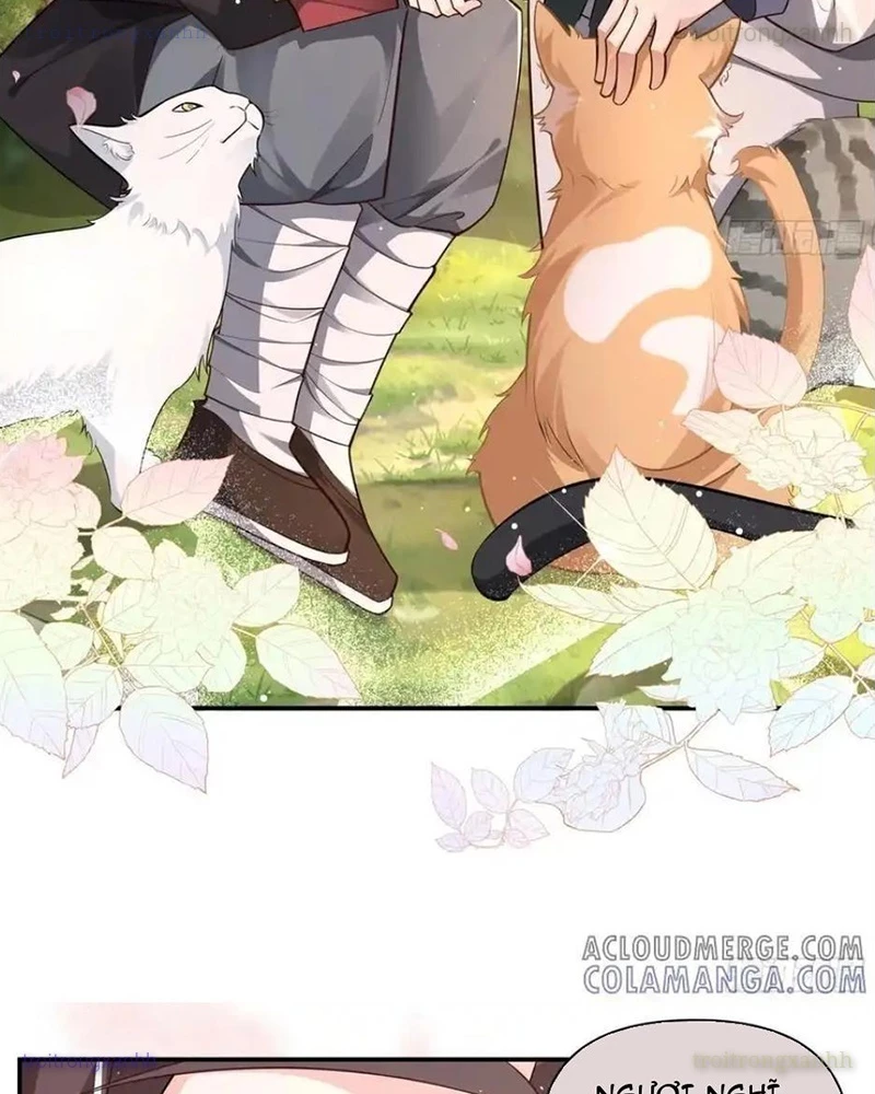 Gọi Ta Là Sư Ca Chapter 6 - 52