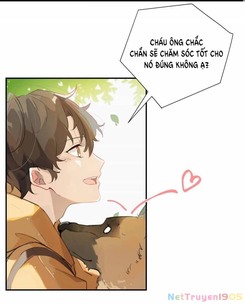 Chào, Đã Lâu Không Gặp Chapter 1 - 11
