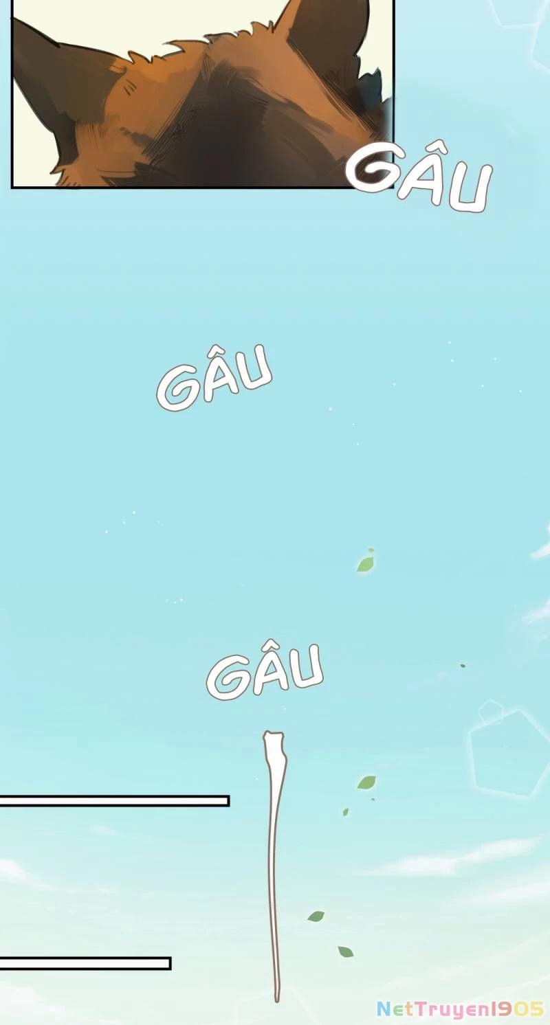 Chào, Đã Lâu Không Gặp Chapter 1 - 13