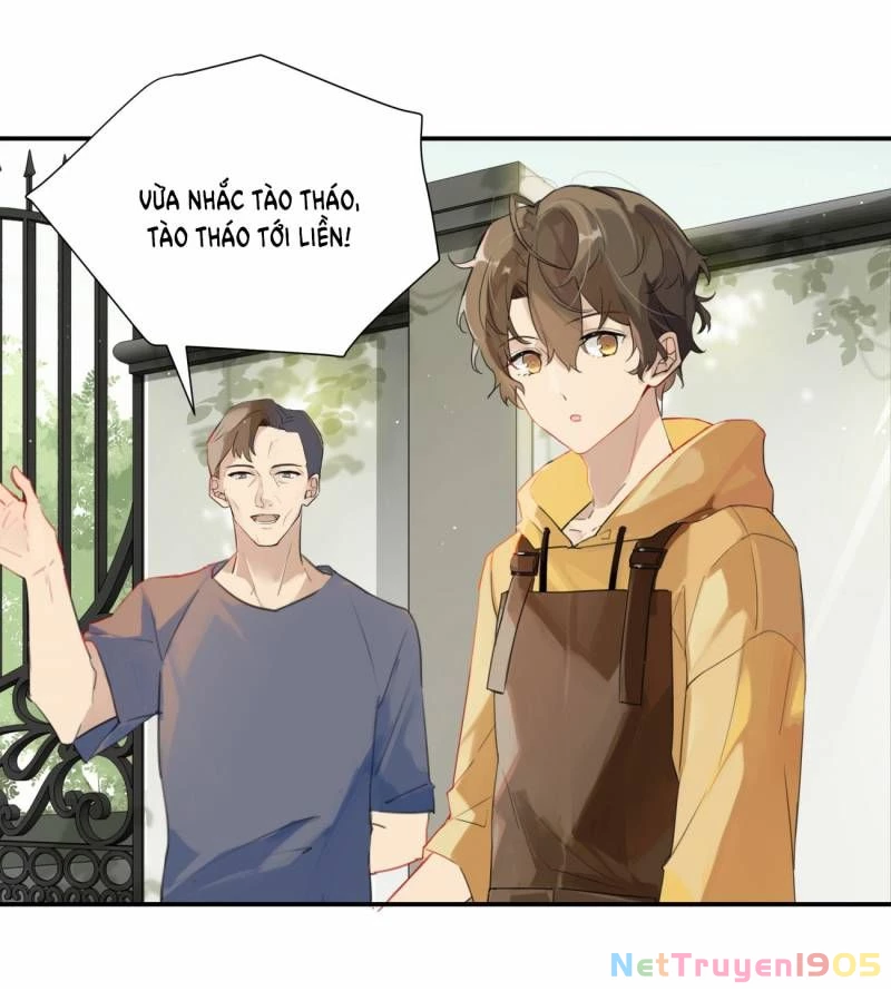 Chào, Đã Lâu Không Gặp Chapter 1 - 16