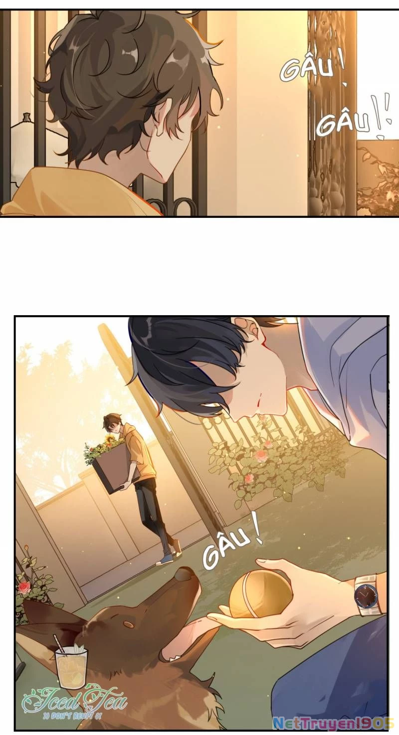 Chào, Đã Lâu Không Gặp Chapter 1 - 40
