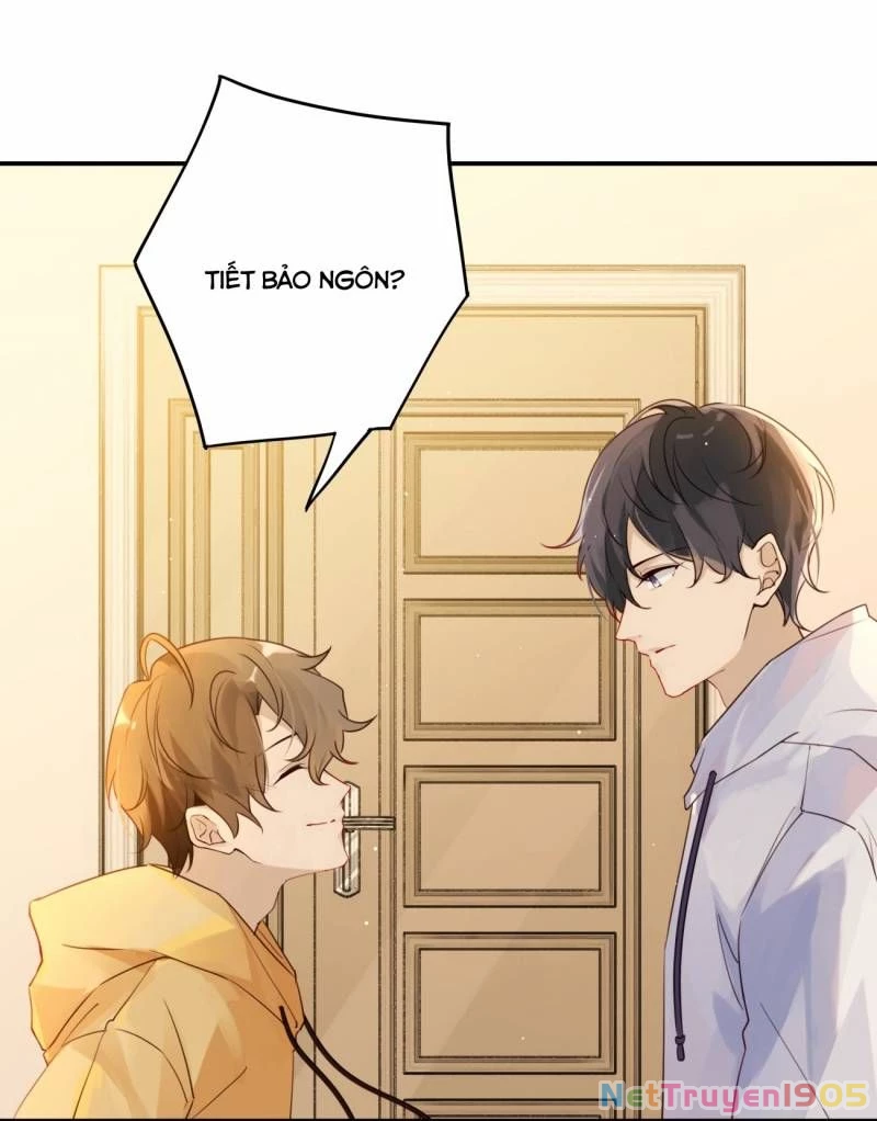 Chào, Đã Lâu Không Gặp Chapter 2 - 4