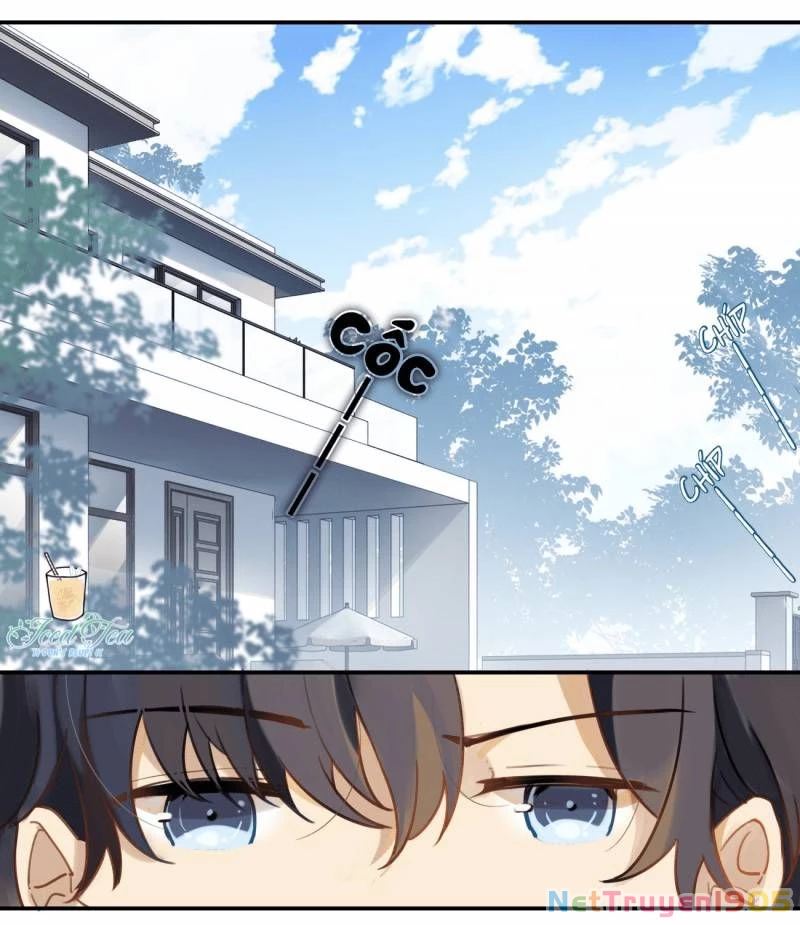 Chào, Đã Lâu Không Gặp Chapter 3 - 8