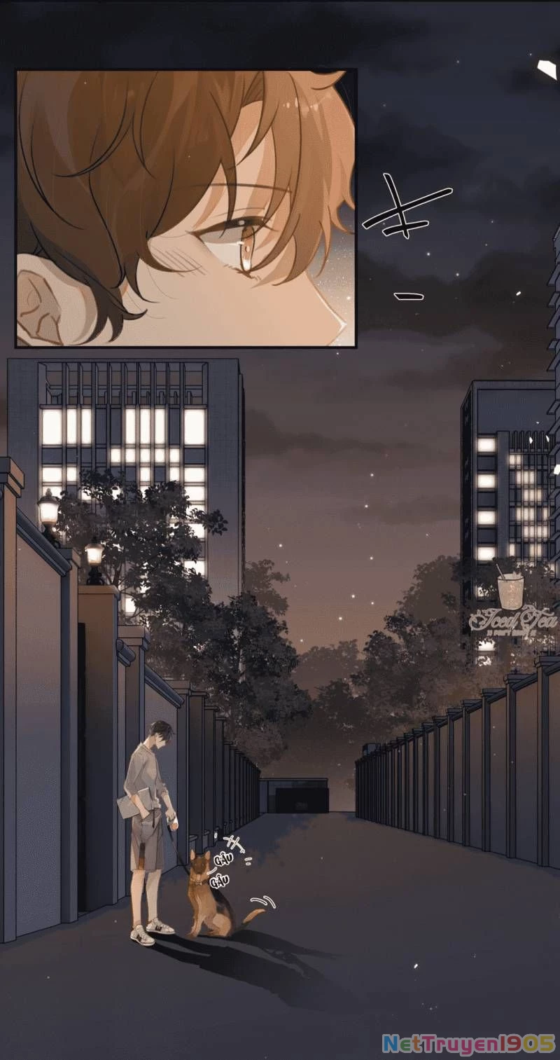 Chào, Đã Lâu Không Gặp Chapter 4 - 11