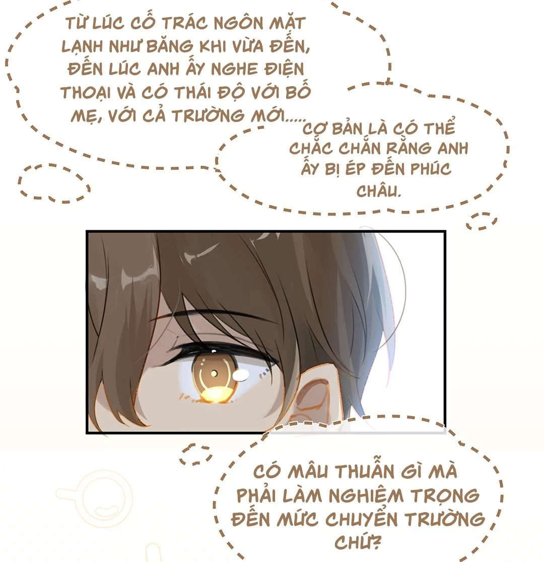 Chào, Đã Lâu Không Gặp Chapter 20 - 15