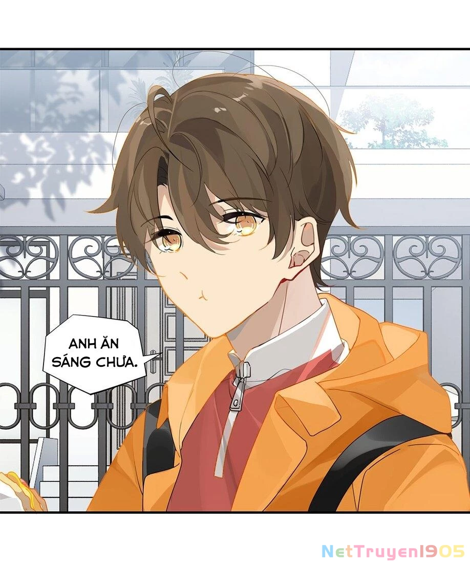 Chào, Đã Lâu Không Gặp Chapter 21 - 24