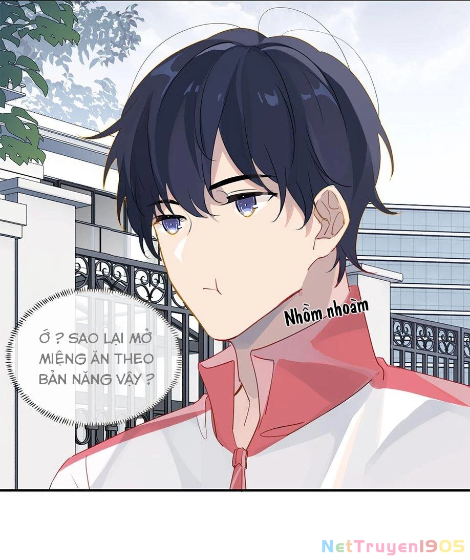 Chào, Đã Lâu Không Gặp Chapter 22 - 4