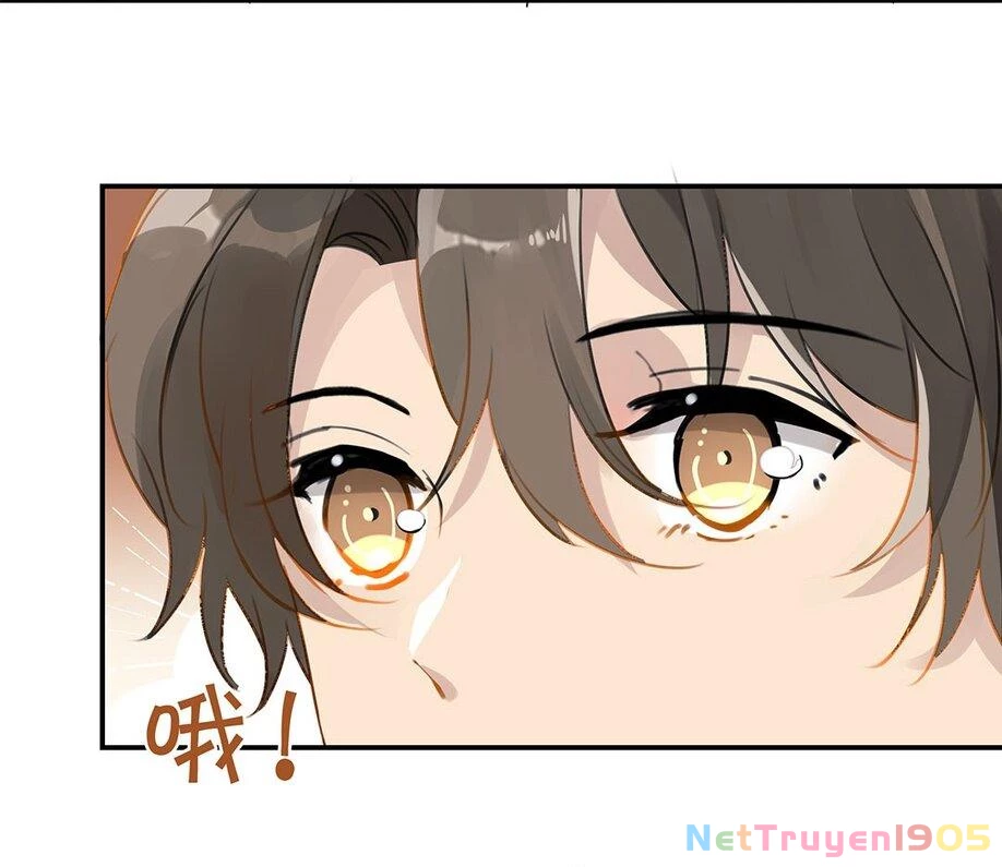 Chào, Đã Lâu Không Gặp Chapter 22 - 26