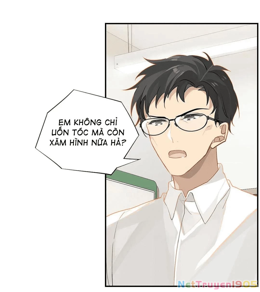 Chào, Đã Lâu Không Gặp Chapter 24 - 22