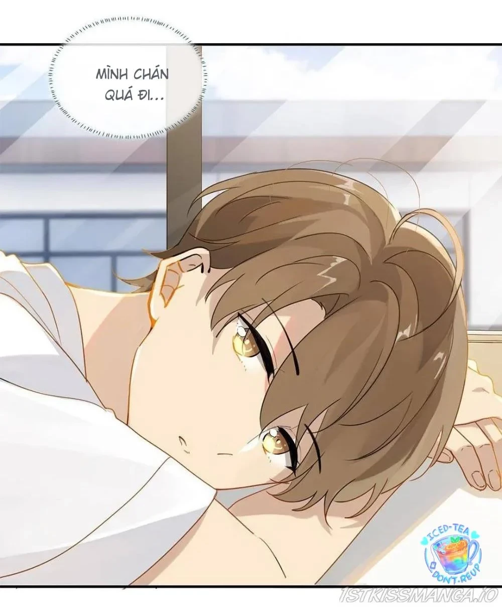 Chào, Đã Lâu Không Gặp Chapter 30 - 14