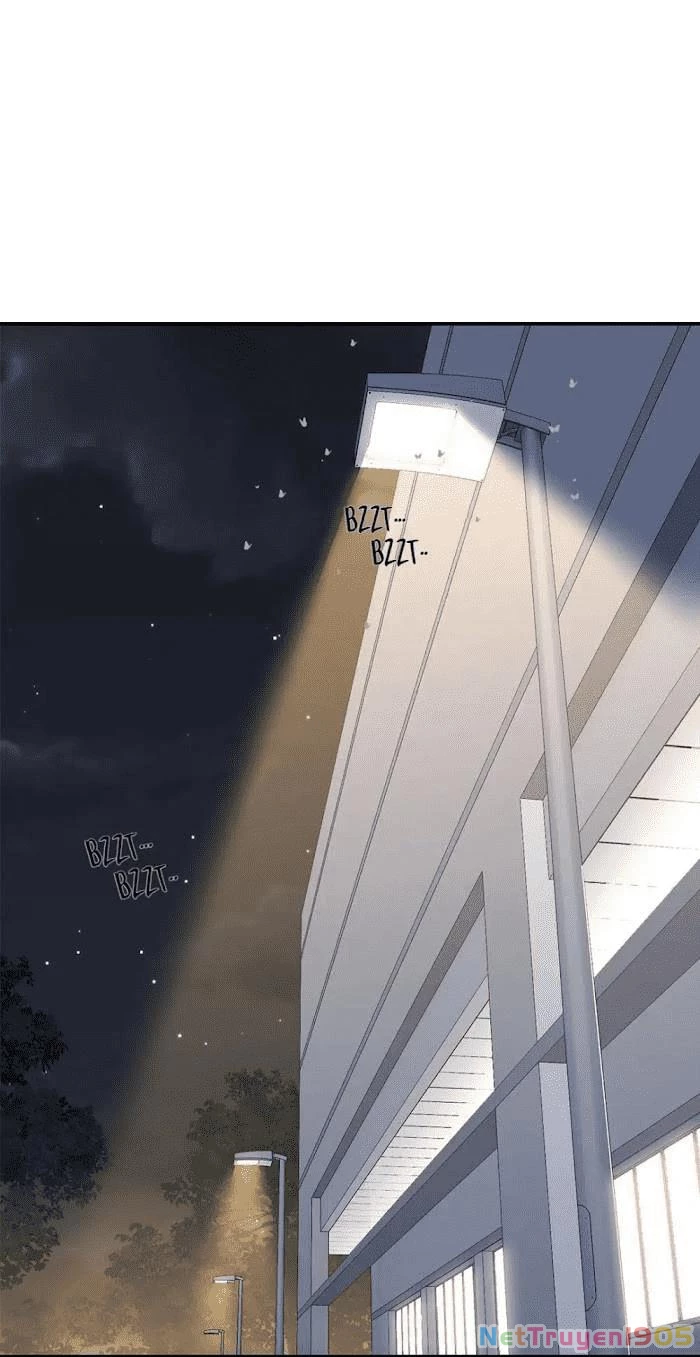 Chào, Đã Lâu Không Gặp Chapter 34 - 4