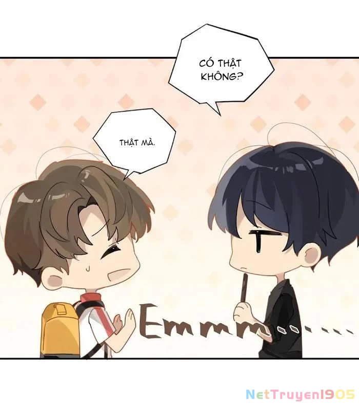 Chào, Đã Lâu Không Gặp Chapter 35 - 6