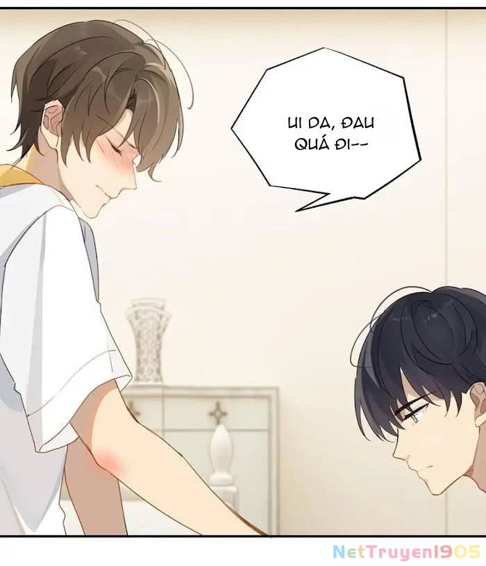 Chào, Đã Lâu Không Gặp Chapter 35 - 16