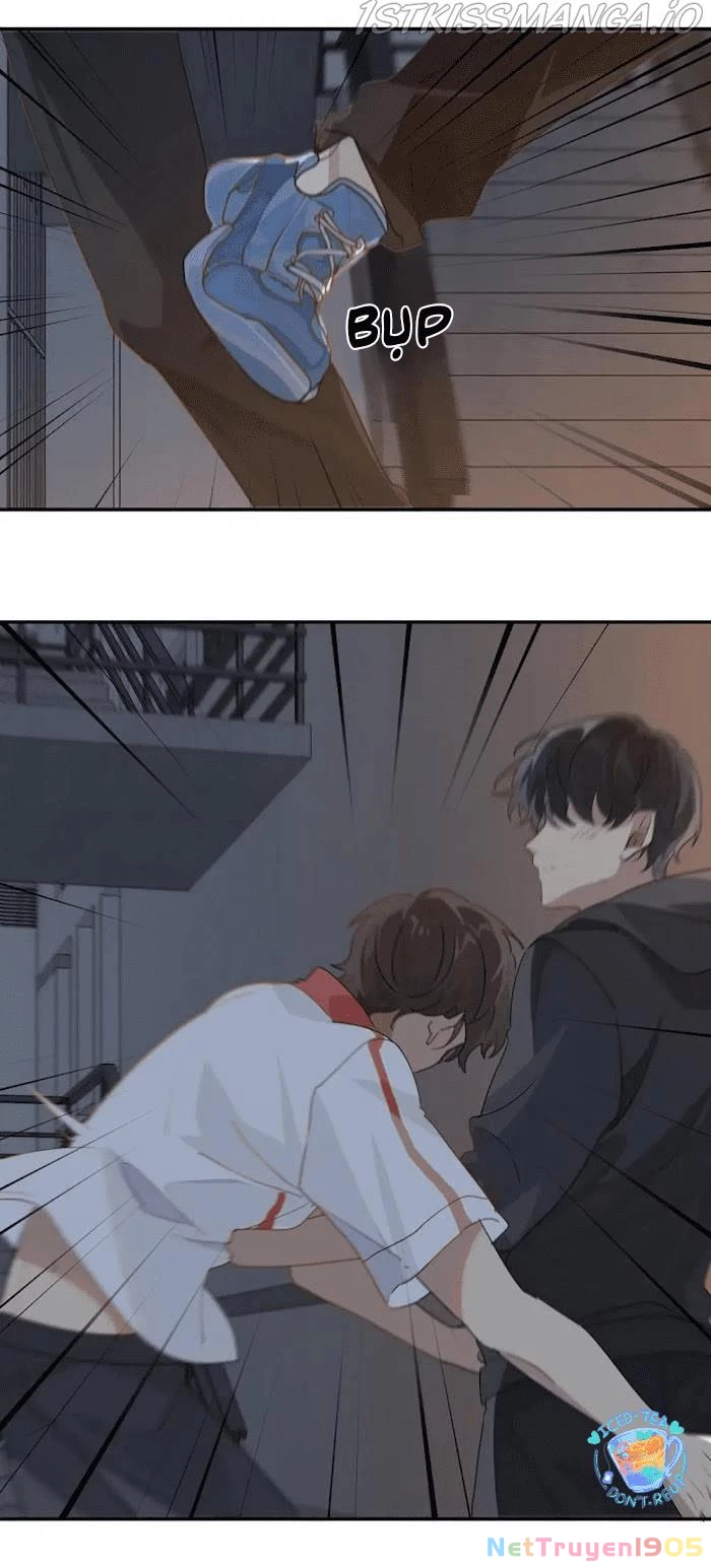 Chào, Đã Lâu Không Gặp Chapter 36 - 15