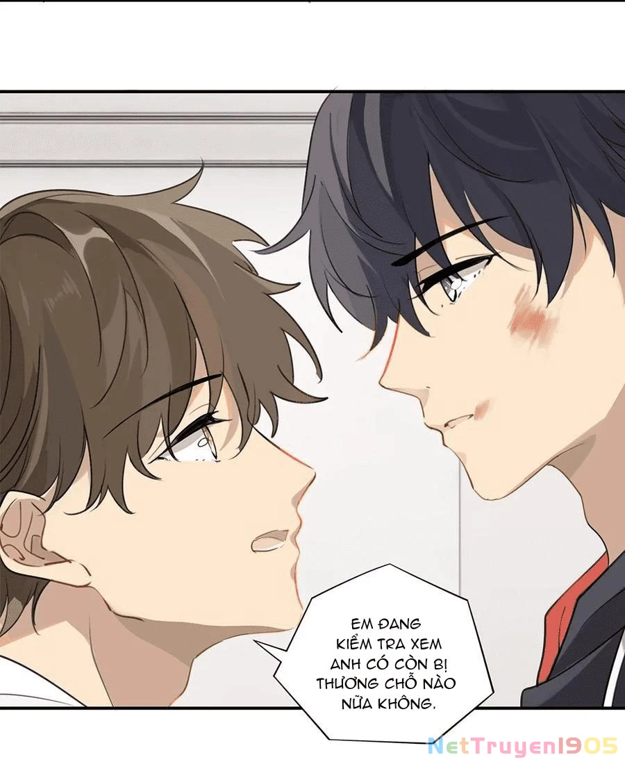 Chào, Đã Lâu Không Gặp Chapter 37 - 12