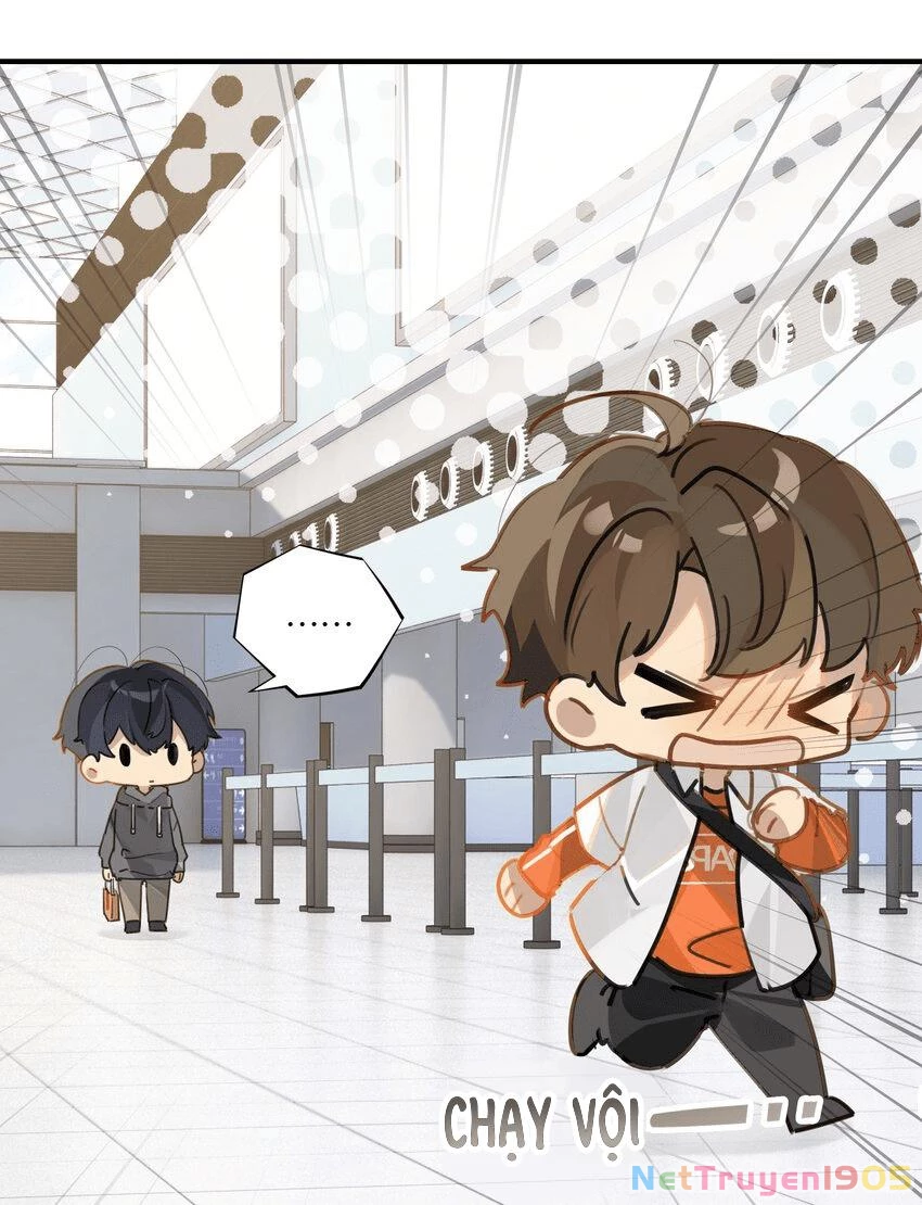 Chào, Đã Lâu Không Gặp Chapter 39 - 11