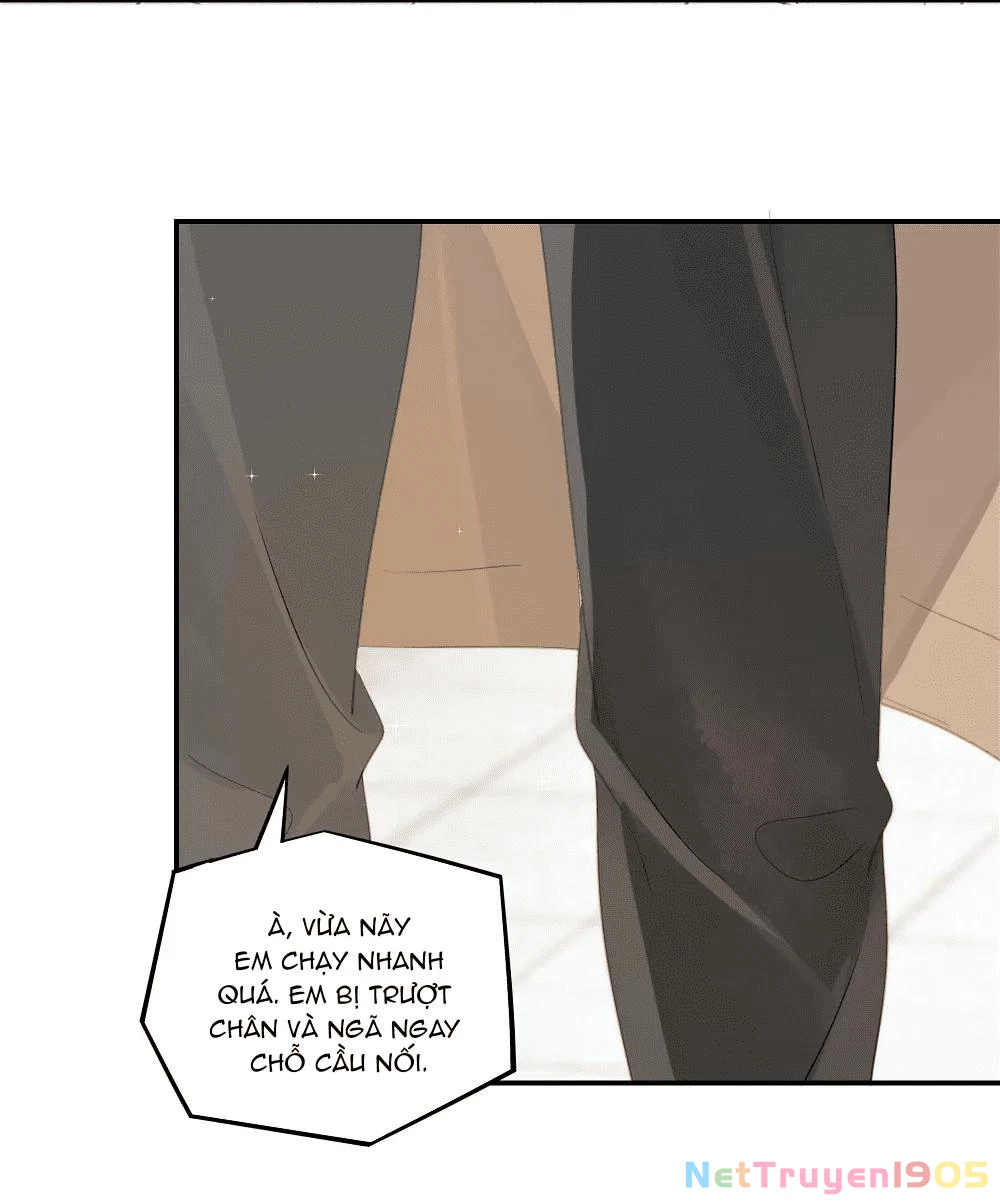 Chào, Đã Lâu Không Gặp Chapter 44 - 12