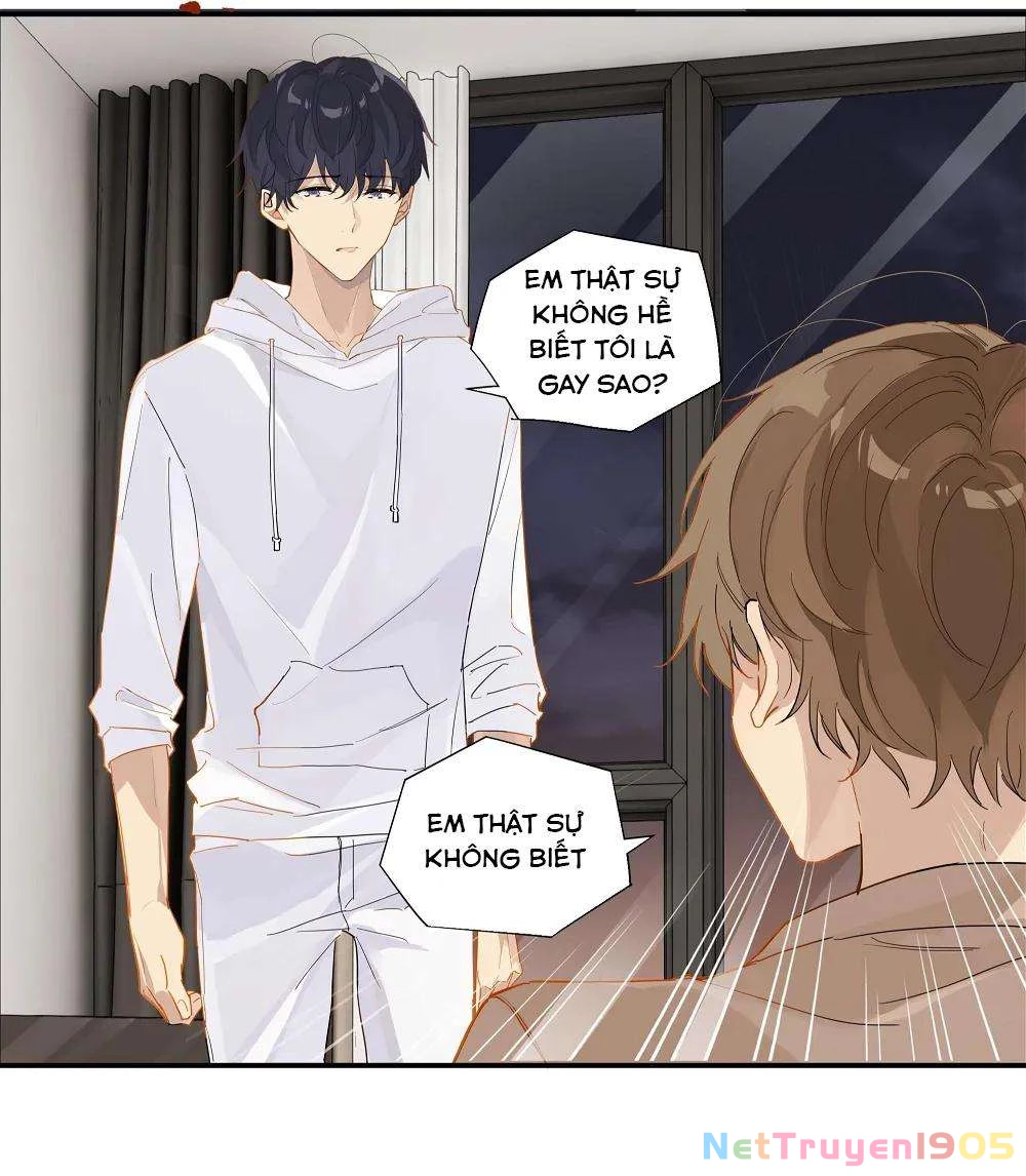 Chào, Đã Lâu Không Gặp Chapter 47 - 5