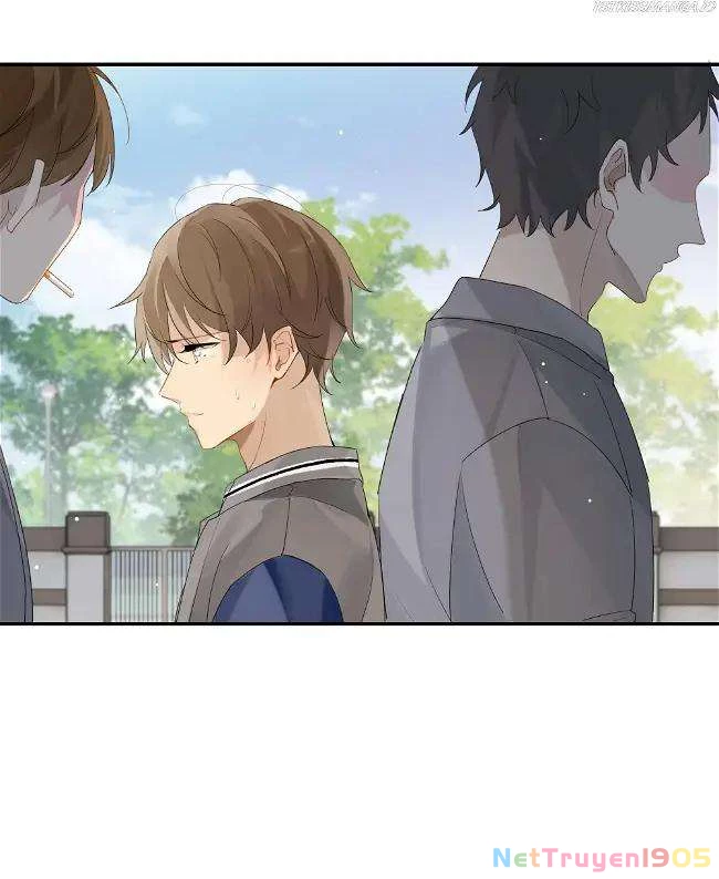 Chào, Đã Lâu Không Gặp Chapter 48 - 14