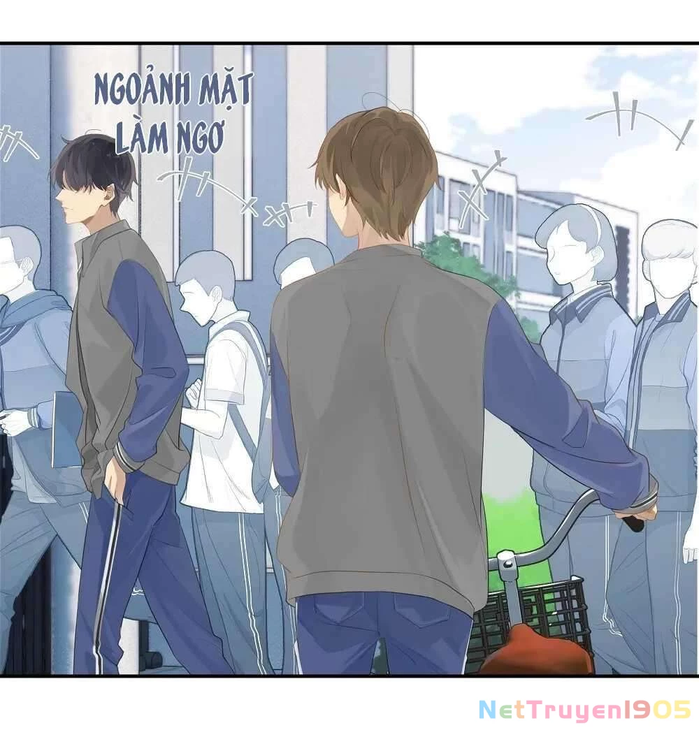 Chào, Đã Lâu Không Gặp Chapter 49 - 15