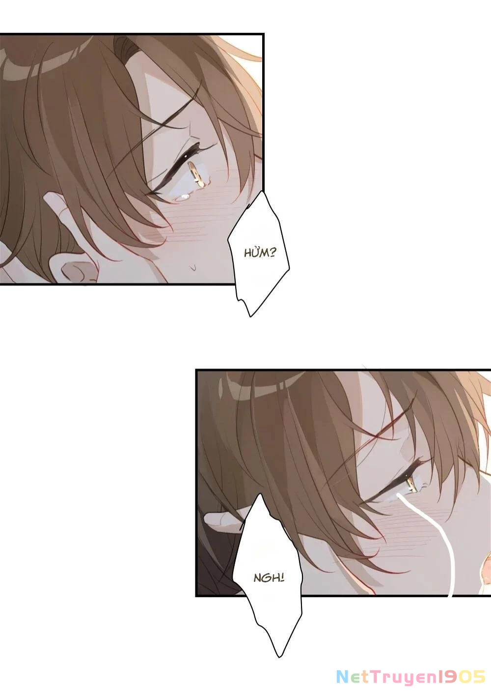 Chào, Đã Lâu Không Gặp Chapter 50 - 18