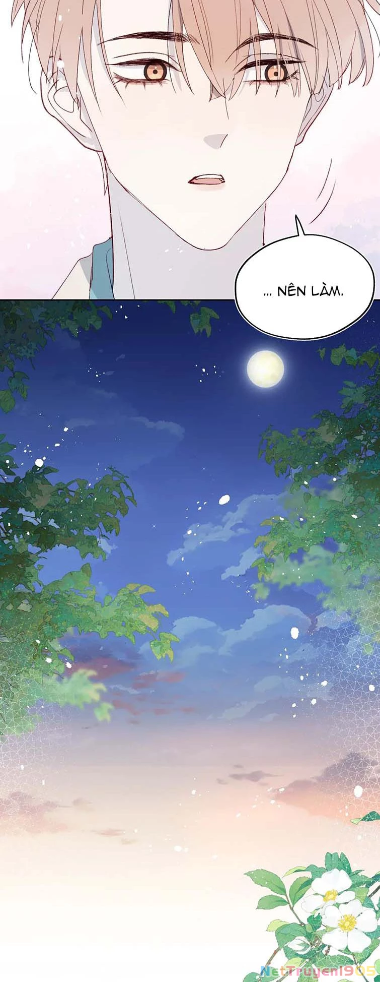 Nhật Ký Thất Tình Của Nhung Tiên Sinh Chapter 14 - 17