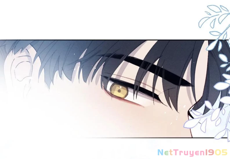 Nhật Ký Thất Tình Của Nhung Tiên Sinh Chapter 19 - 33