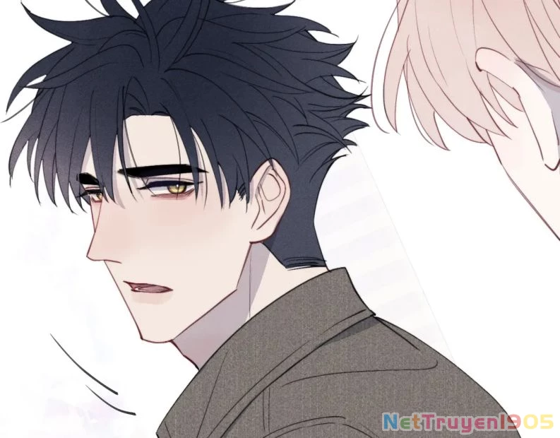 Nhật Ký Thất Tình Của Nhung Tiên Sinh Chapter 41 - 94