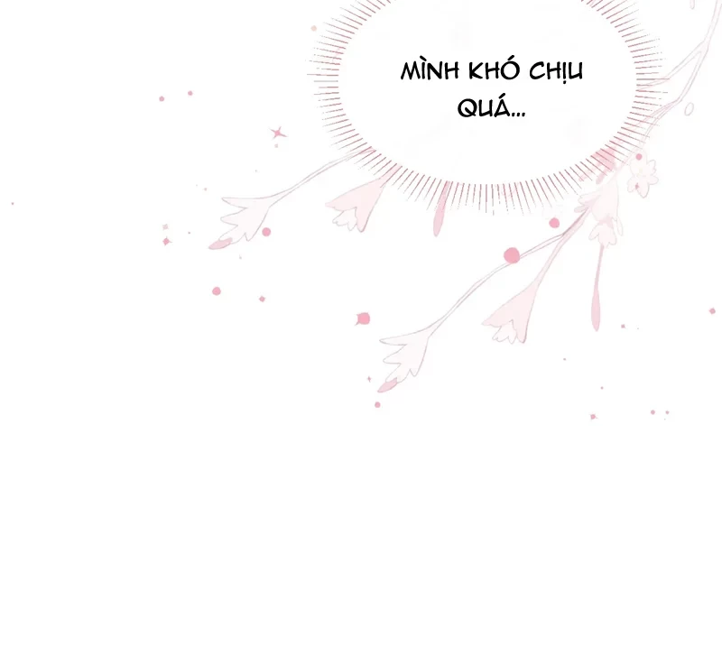 Nhật Ký Thất Tình Của Nhung Tiên Sinh Chapter 51 - 64