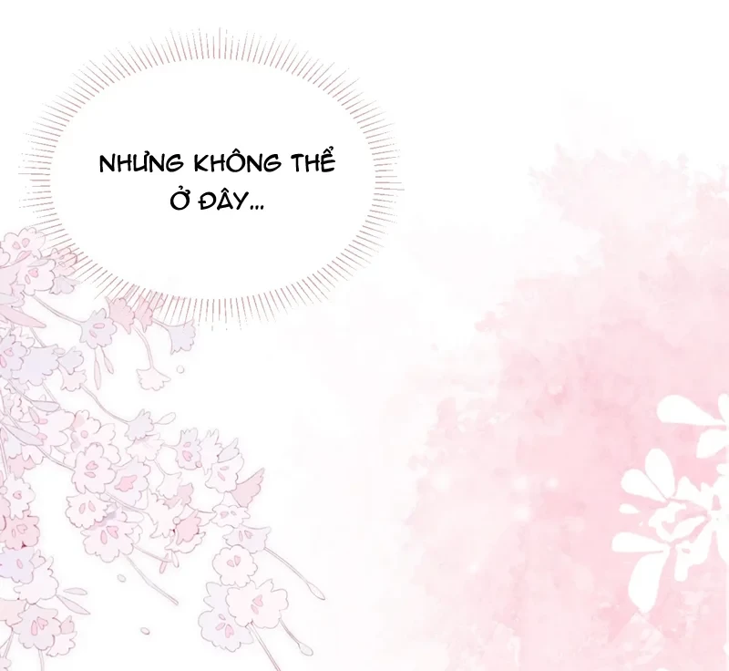Nhật Ký Thất Tình Của Nhung Tiên Sinh Chapter 51 - 70