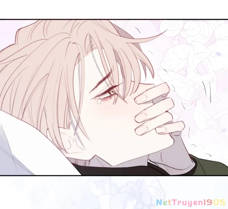 Nhật Ký Thất Tình Của Nhung Tiên Sinh Chapter 51 - 79