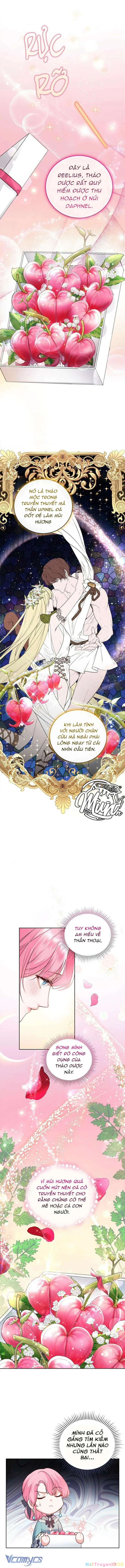 Nhà Điều Chế Nước Hoa Độc Quyền Của Bạo Chúa Chapter 31 - 7