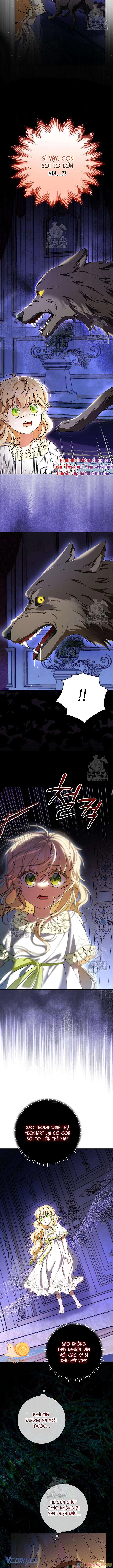 Nàng Chim Được Dinh Thự Sói Yêu Thương Chapter  51 - 9