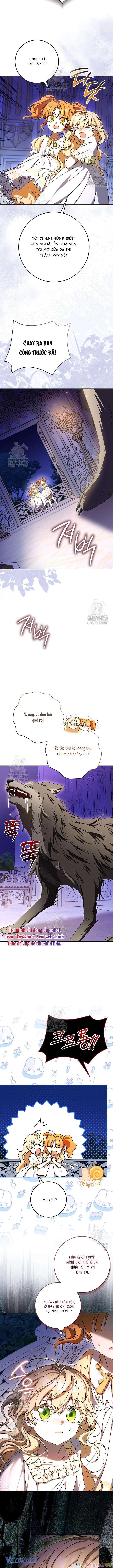 Nàng Chim Được Dinh Thự Sói Yêu Thương Chapter  51 - 11