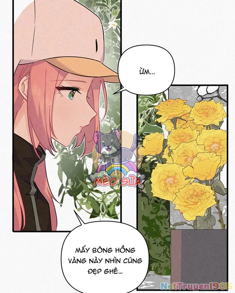 Tình Yêu Đã Cho Tôi Siêu Năng Lực Chapter 84 - 22