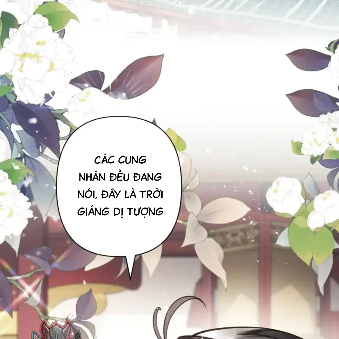 Đông Hải Tìm Mỹ Nhân Chapter 63 - 24