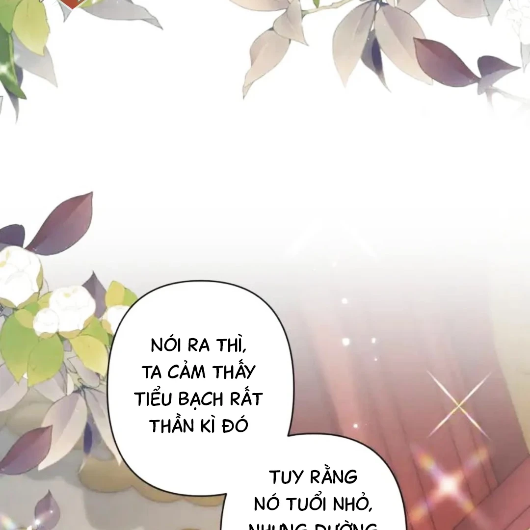 Đông Hải Tìm Mỹ Nhân Chapter 63 - 45
