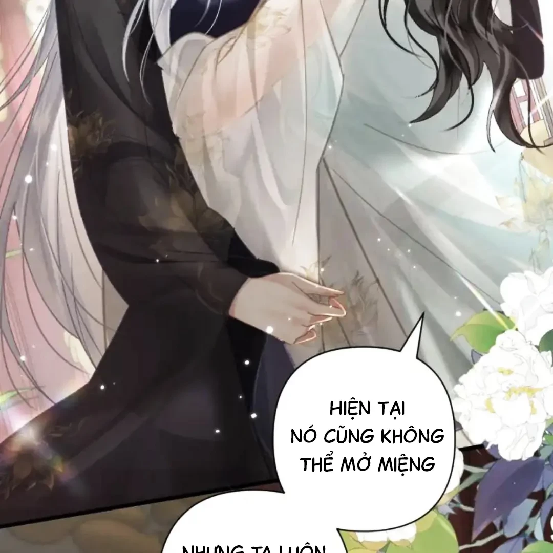 Đông Hải Tìm Mỹ Nhân Chapter 63 - 47