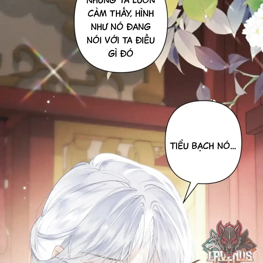 Đông Hải Tìm Mỹ Nhân Chapter 63 - 48
