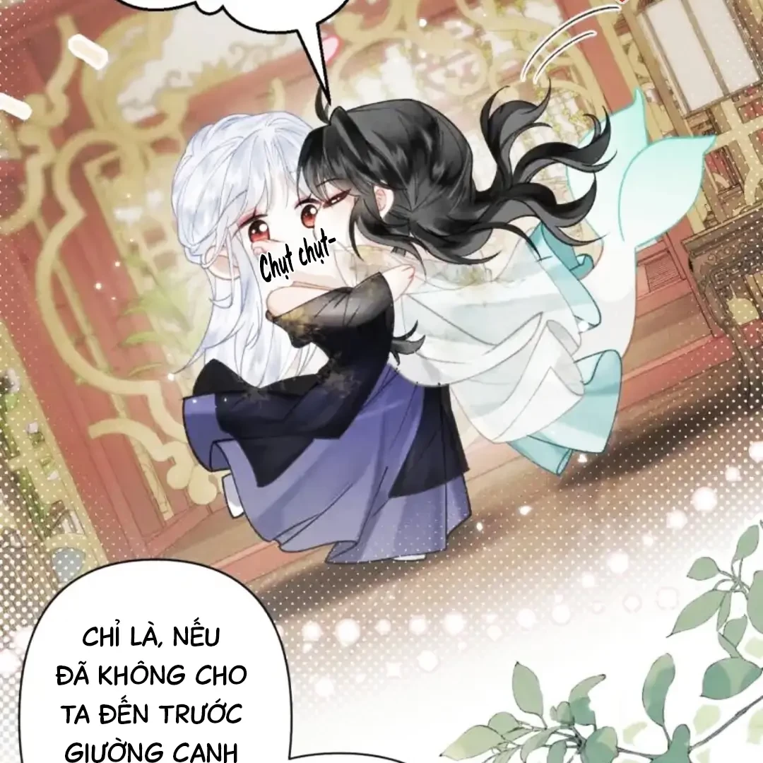 Đông Hải Tìm Mỹ Nhân Chapter 63 - 68
