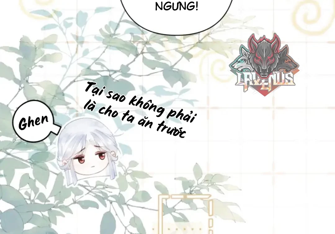 Đông Hải Tìm Mỹ Nhân Chapter 63 - 70