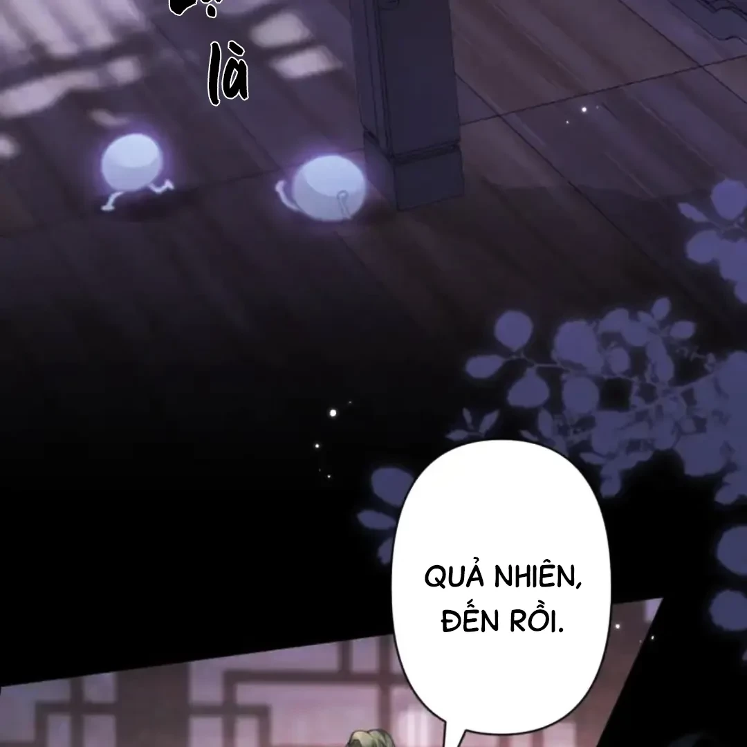Đông Hải Tìm Mỹ Nhân Chapter 63 - 104