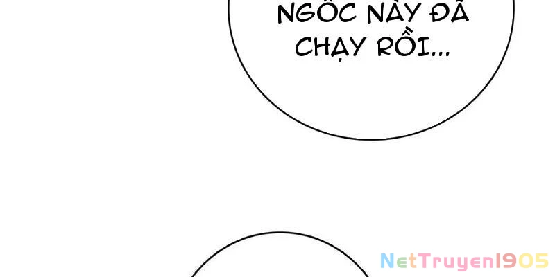 Đừng Xem Thường Một Củ Cải Chapter 43 - 167