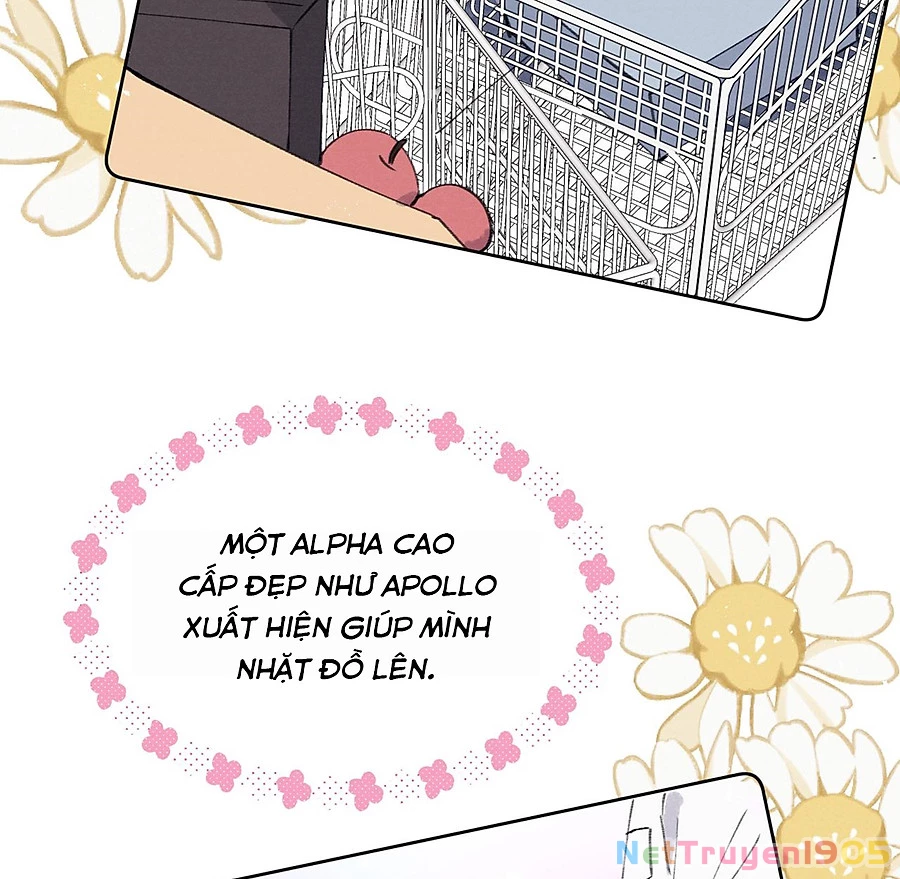 Nhật Ký Thất Tình Của Nhung Tiên Sinh Chapter 35.1 - 65