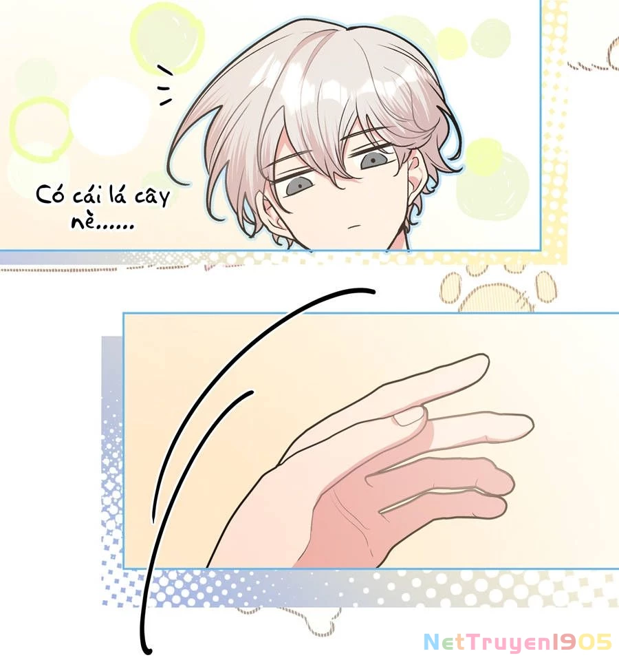 Đừng Nói Yêu Tôi Chapter 25 - 45