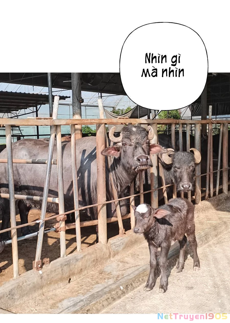 Đừng Nói Yêu Tôi Chapter 33.1 - 20