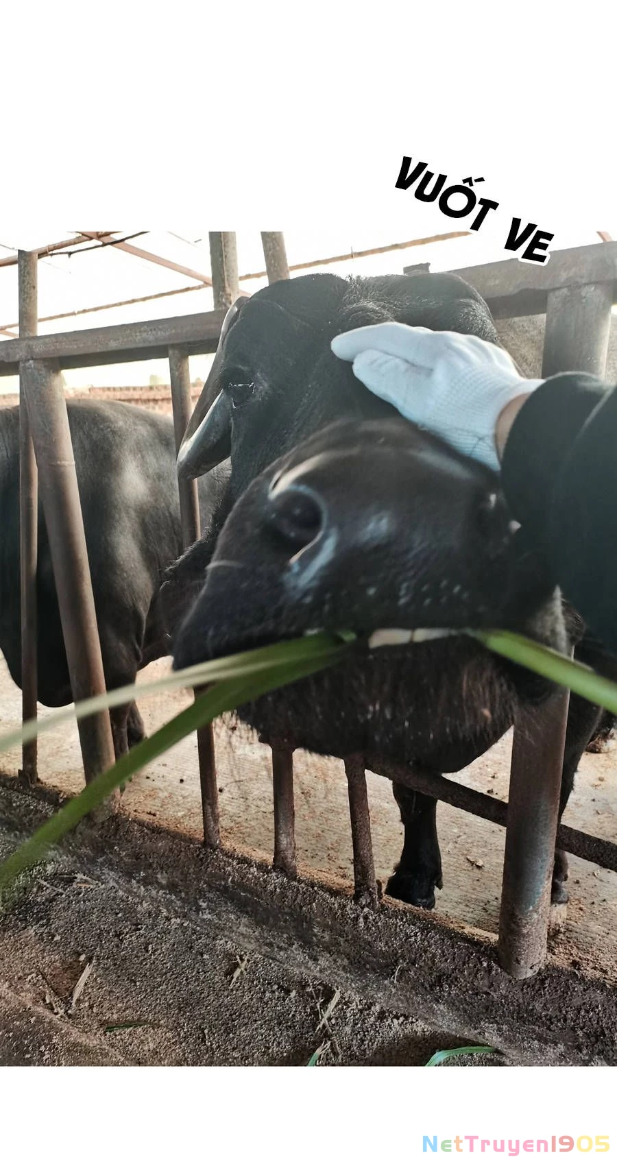 Đừng Nói Yêu Tôi Chapter 33.1 - 22