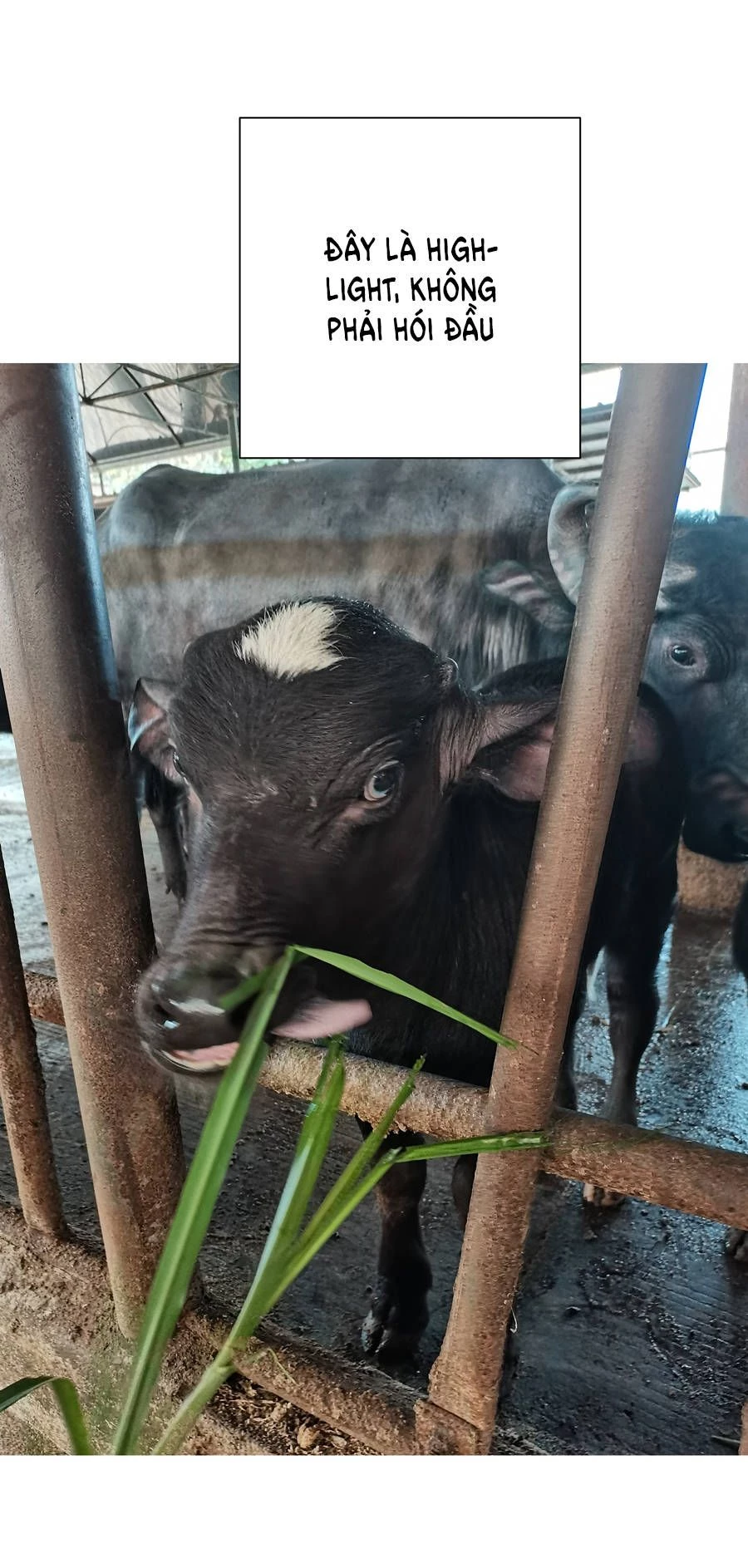 Đừng Nói Yêu Tôi Chapter 33.1 - 23